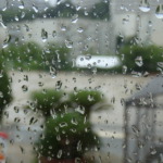 一週間のはじまりです☔