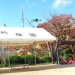 航空写真を撮りました📸