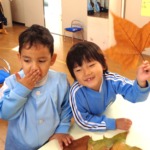 秋の自然に親しみをもって🍂